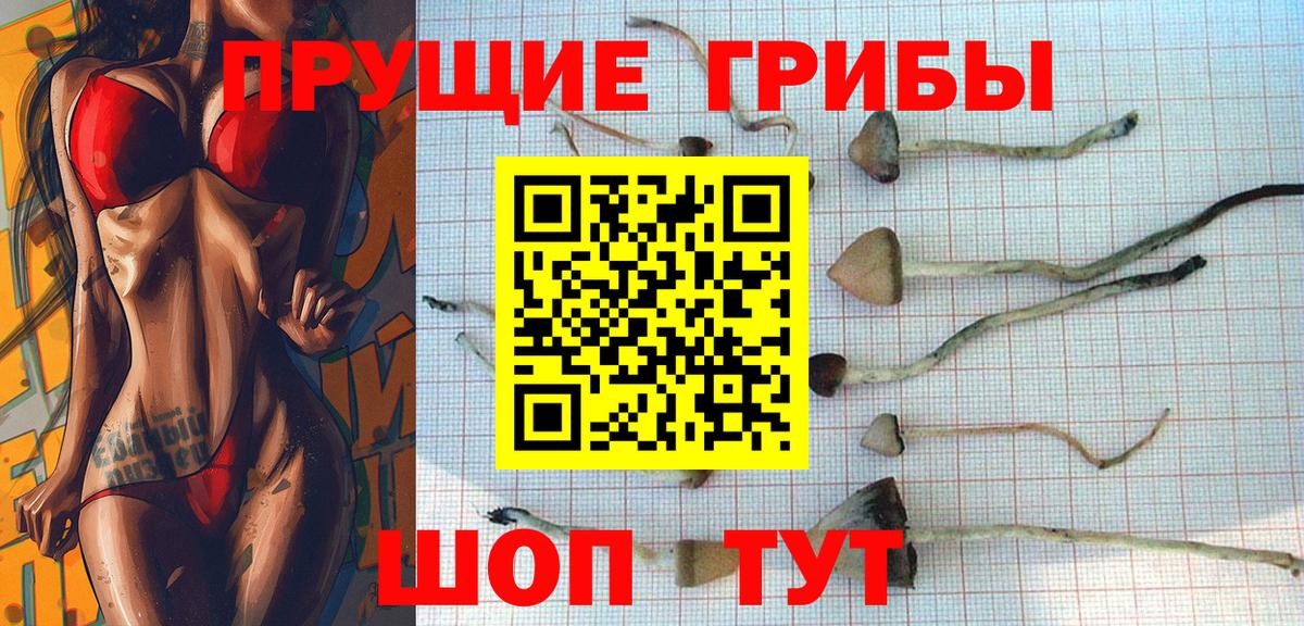 Псилоцибиновые грибы Псков