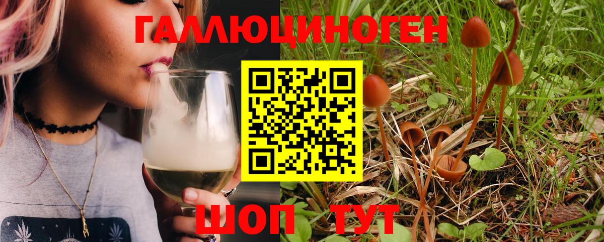 Галлюциногенные грибы Cubensis Псков