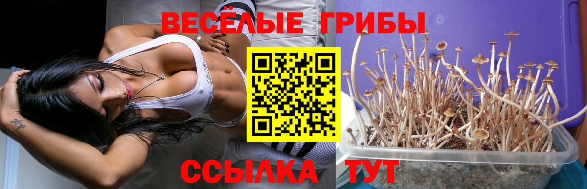 Галлюциногенные грибы Cubensis  где найти   Псков  Вход с VPN  Псилоцибиновые грибы ЛСД 